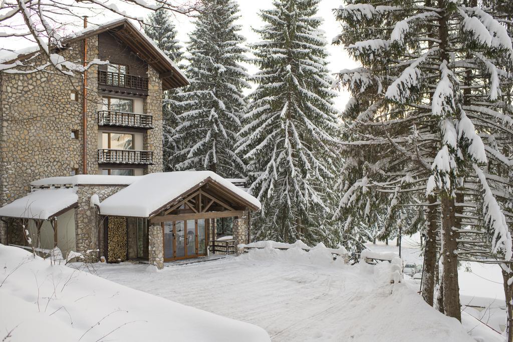 Ana Hotels Bradul Poiana Braşov Exterior foto